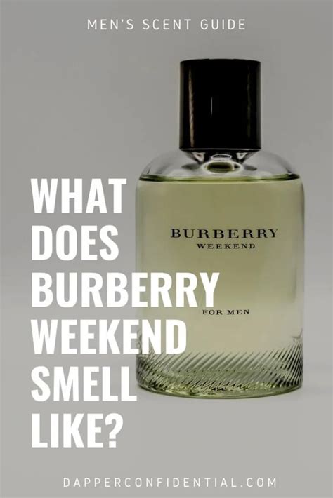 what does burberry black smell like